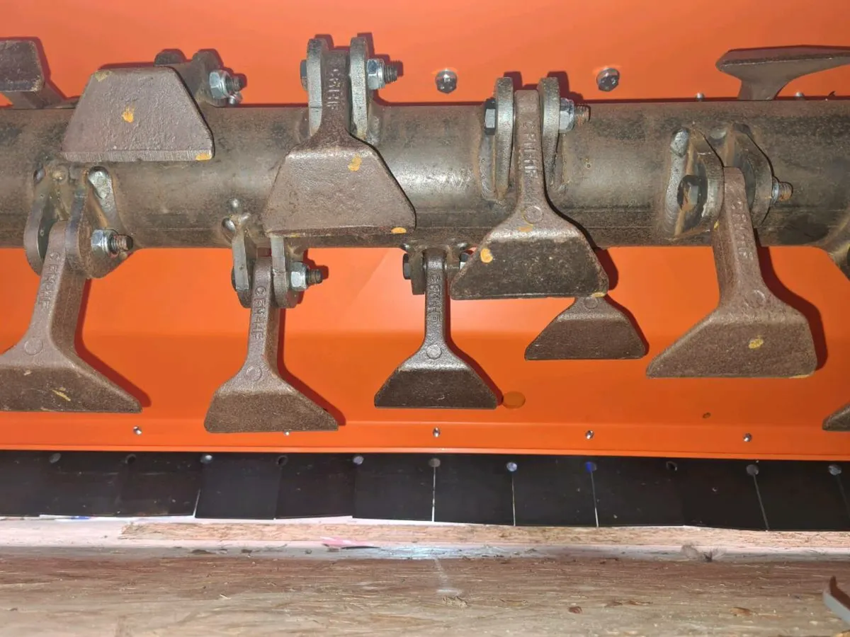 Chapman flail mower - Image 4