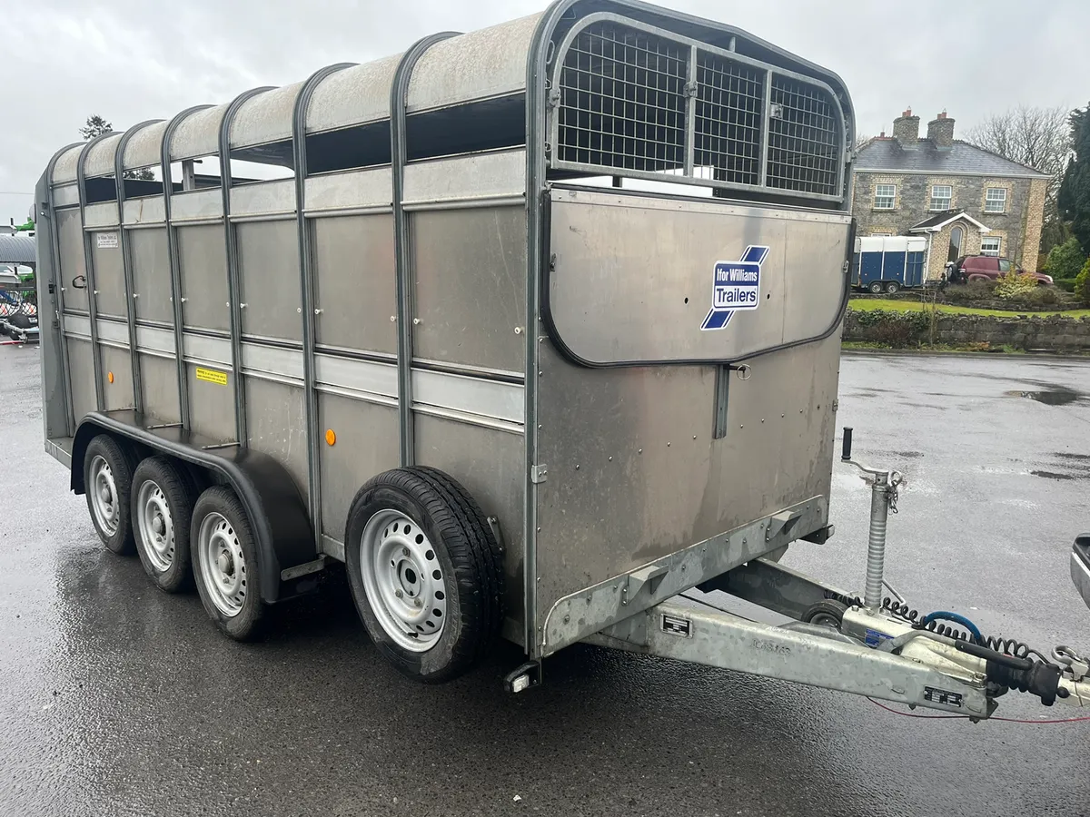 You for Williams ta510 14ft - Image 4