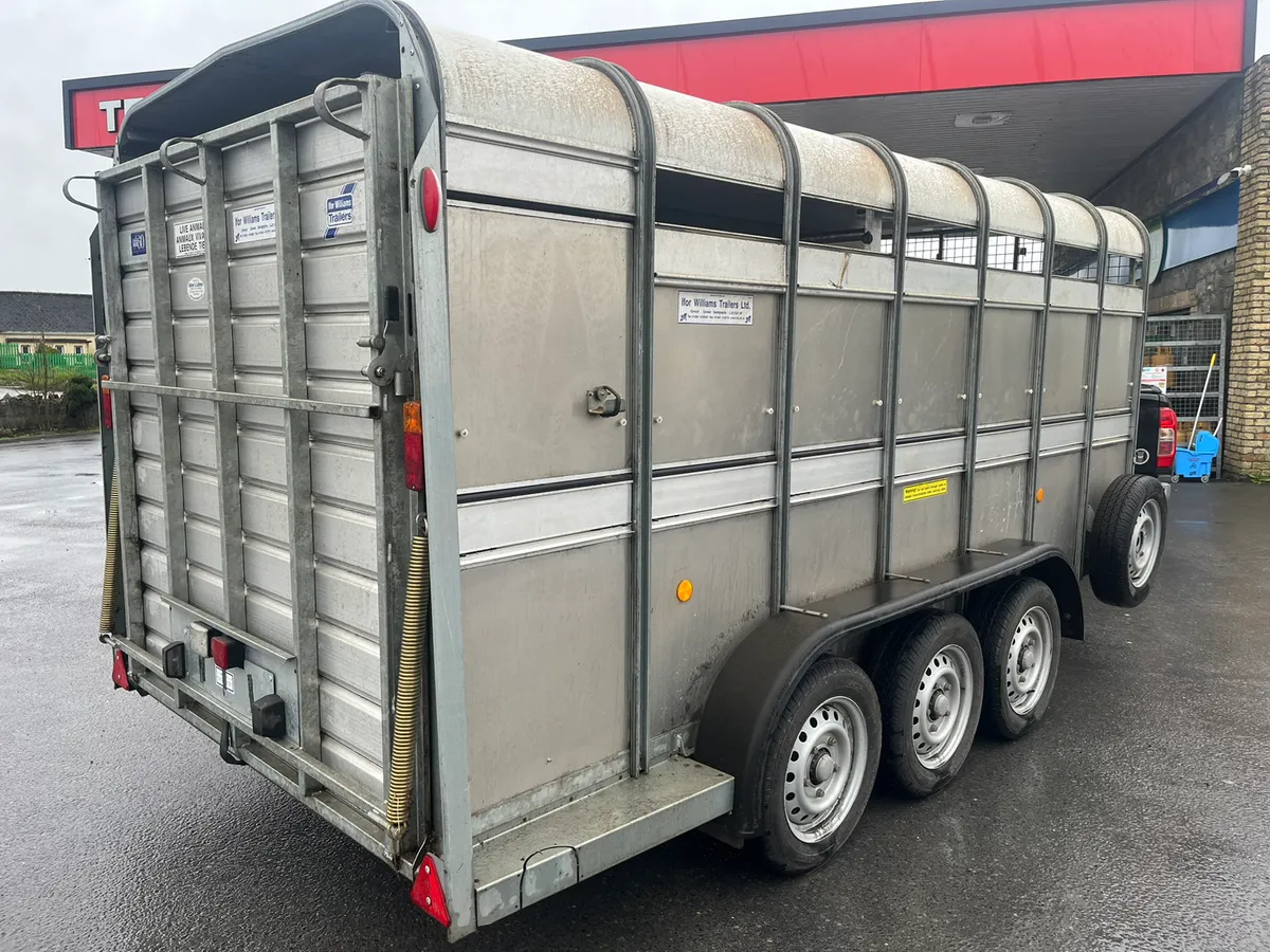 You for Williams ta510 14ft - Image 3