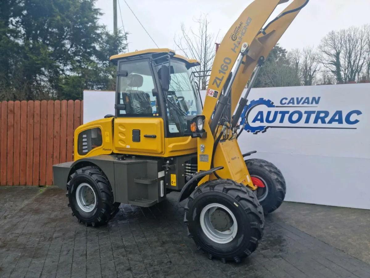 Zl160 Loader - Image 4
