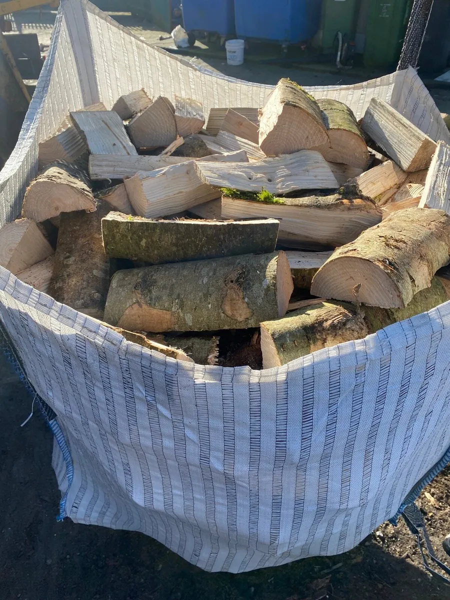 Ash firewood - Image 3