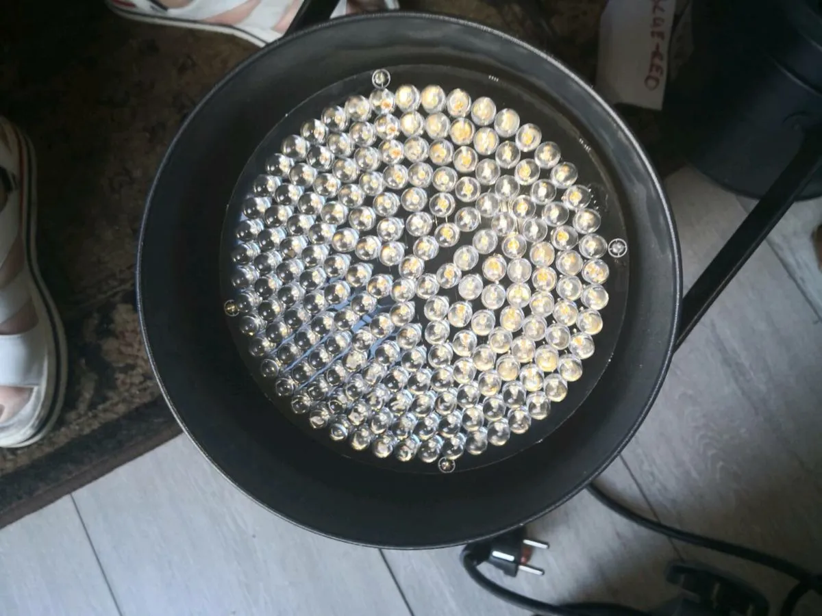 3x pro large studio lights colours - Image 2