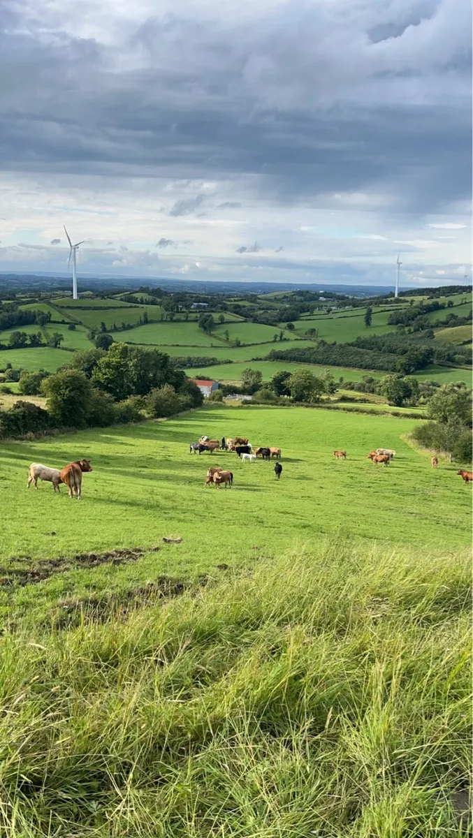 You Keep Farming - Let Us Handle The Paperwork - Image 4