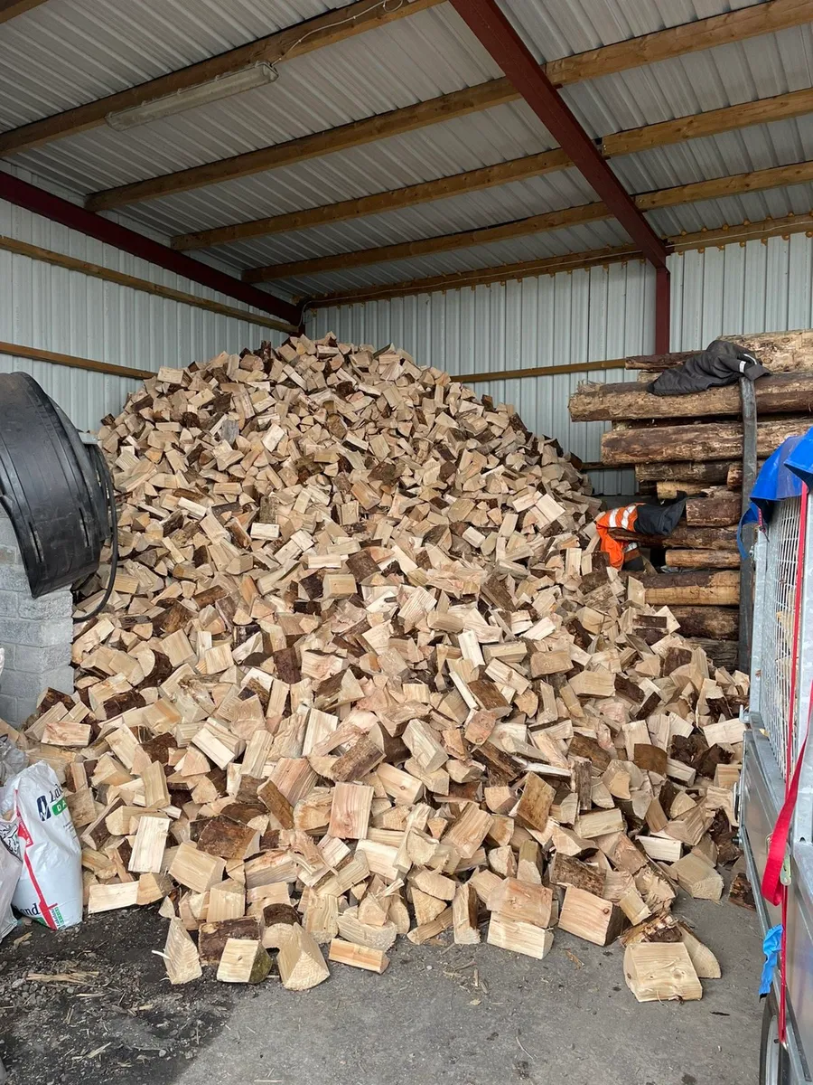 Firewood - Image 1