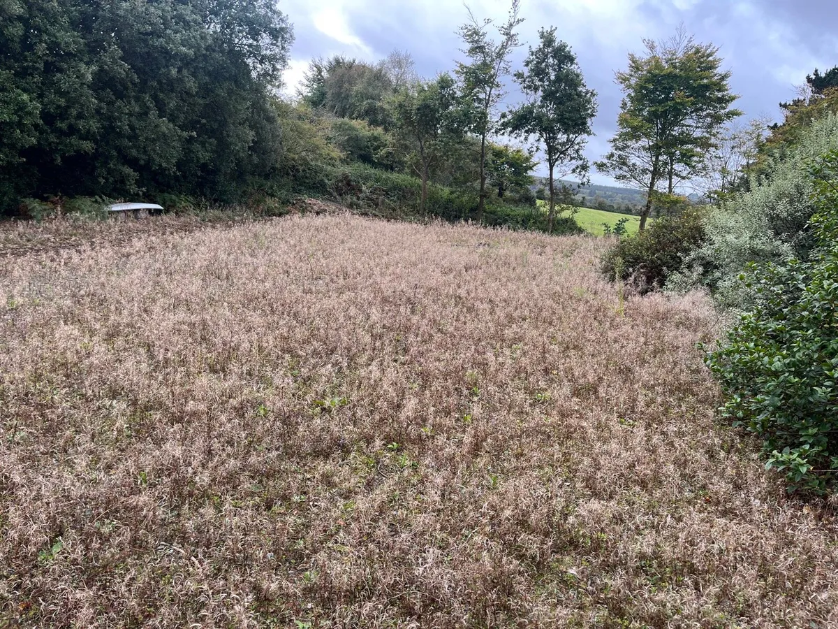 Mini digger with driver - Image 3