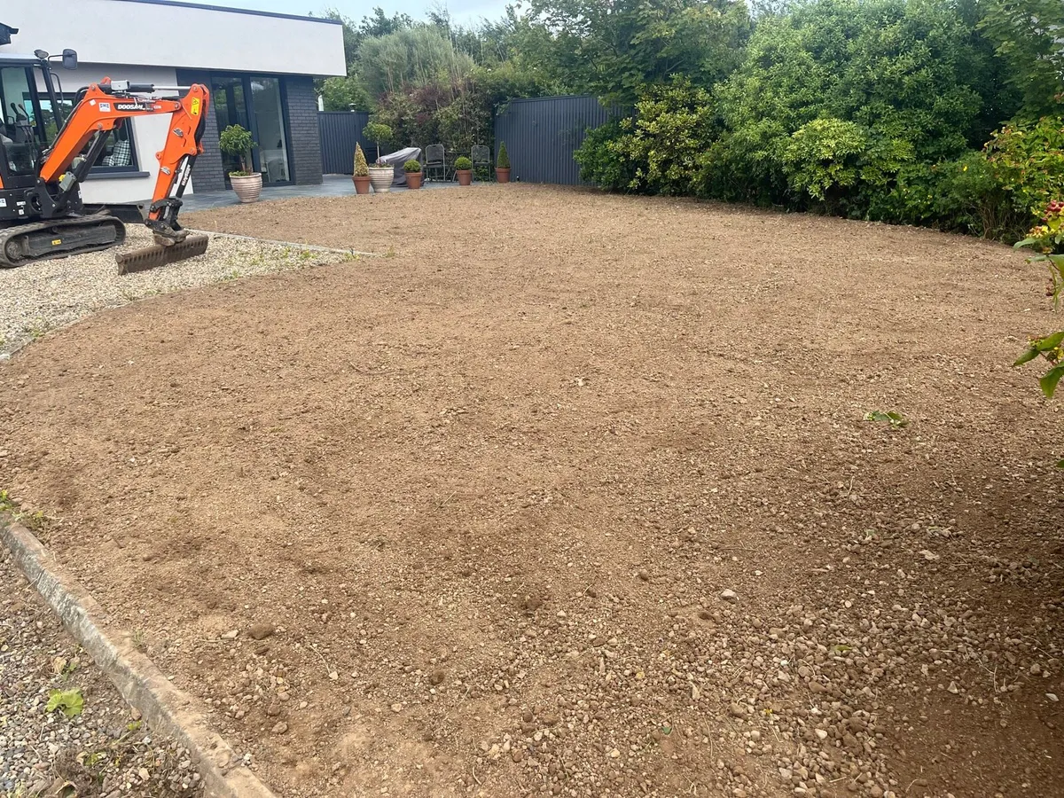 Mini digger with driver - Image 3