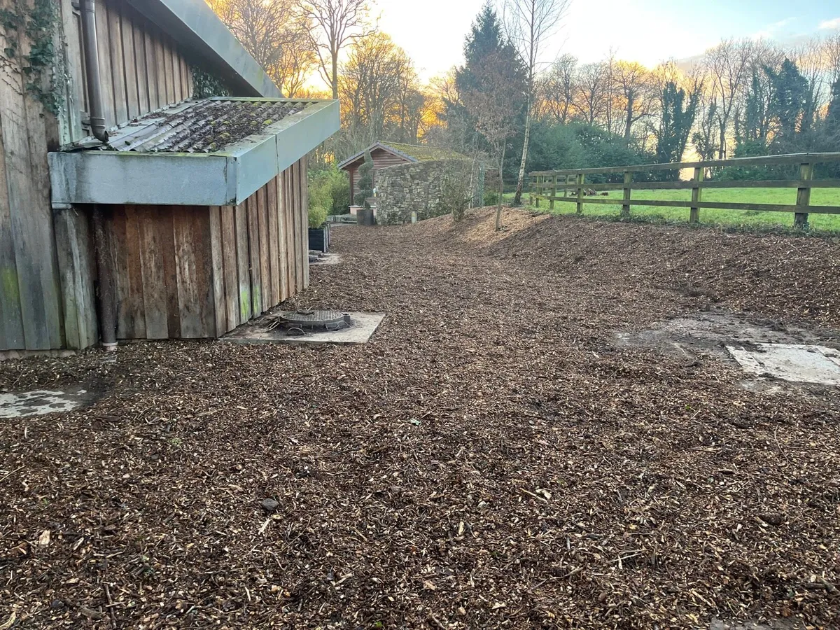 Mini digger with driver - Image 4