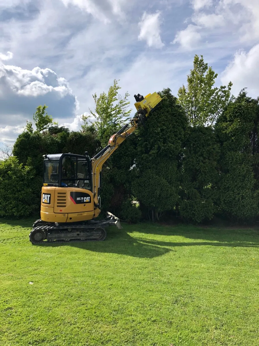 Mini digger with driver - Image 1