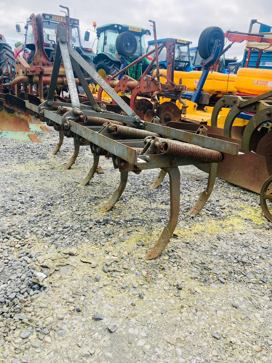 Ferguson spring time grubber - Image 1