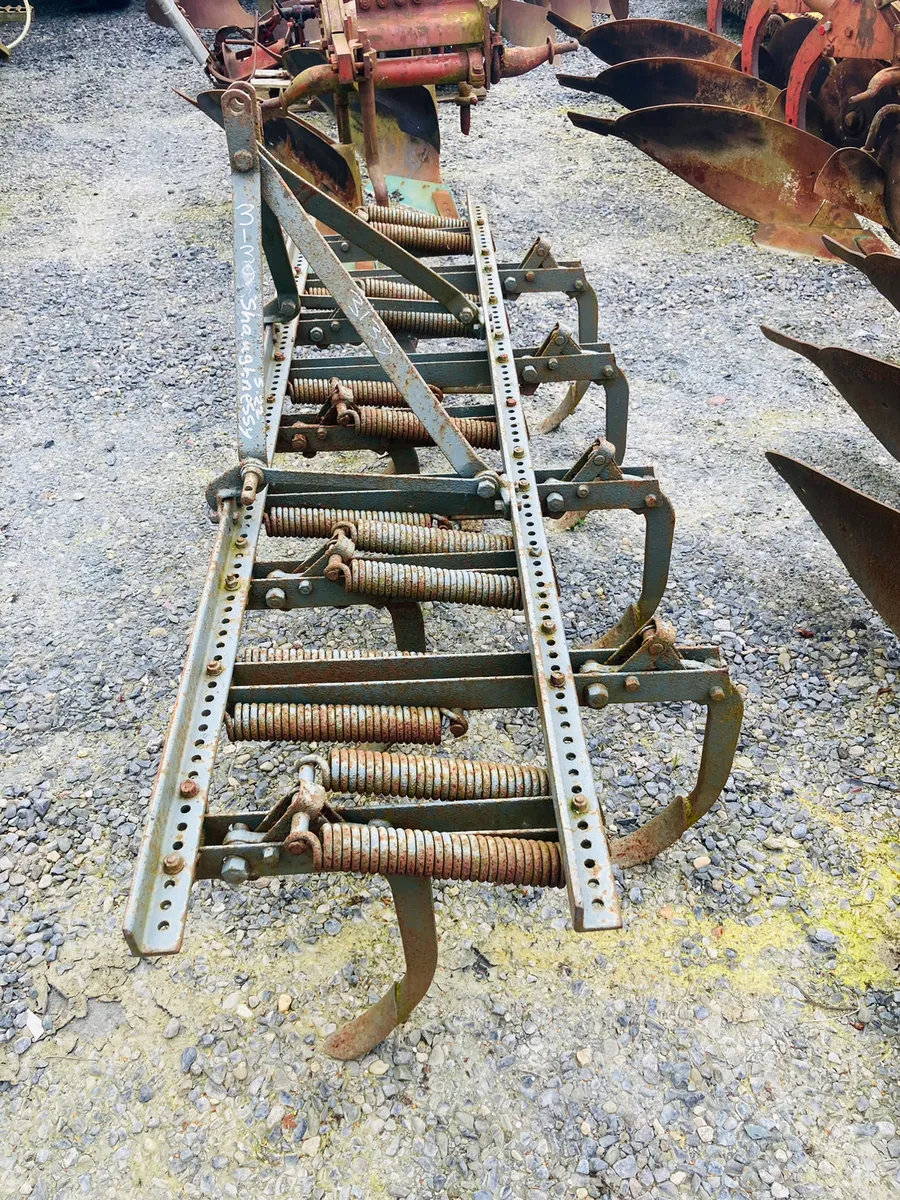 Ferguson spring time grubber - Image 2