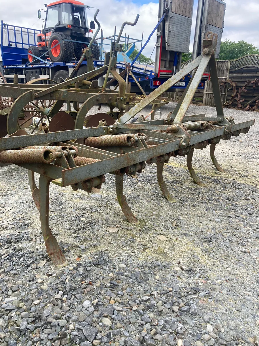 Ferguson spring time grubber - Image 3