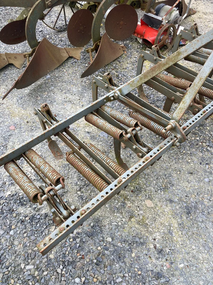 Ferguson spring time grubber - Image 4