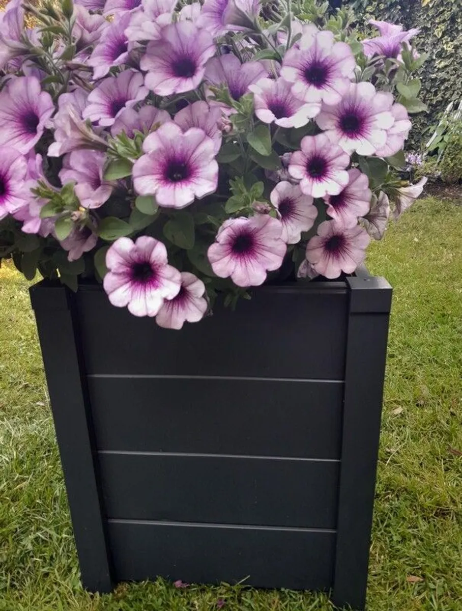 Aluminum Pots - Image 1