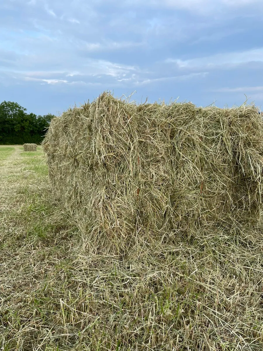 Quality hay + straw Square + round - Image 4