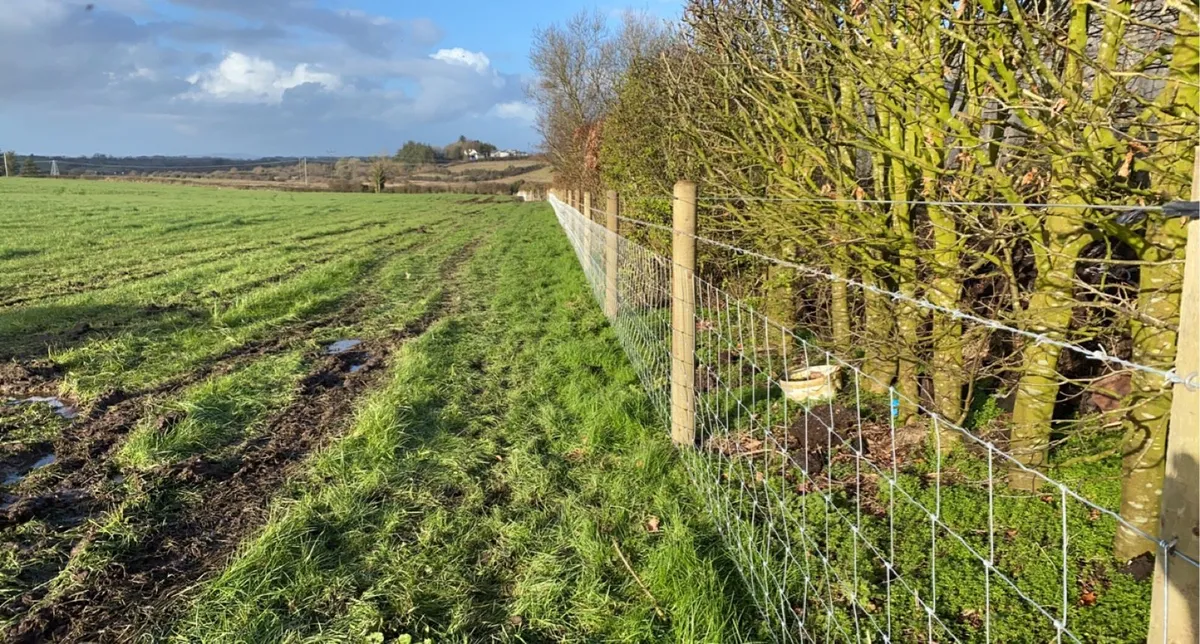 Brennan Bros Fencing Contractor - Image 3