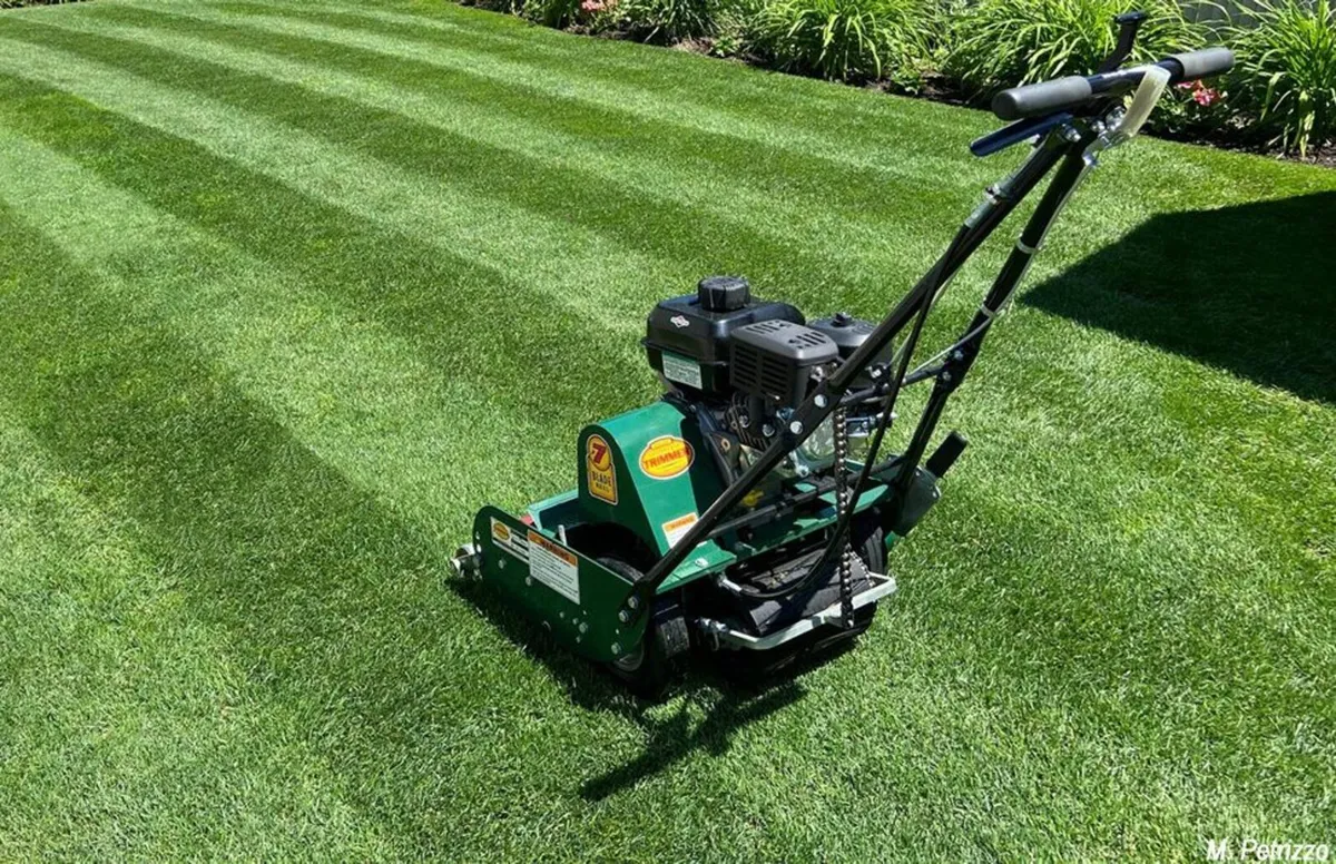 Morrison Cylinder Mower - Image 2