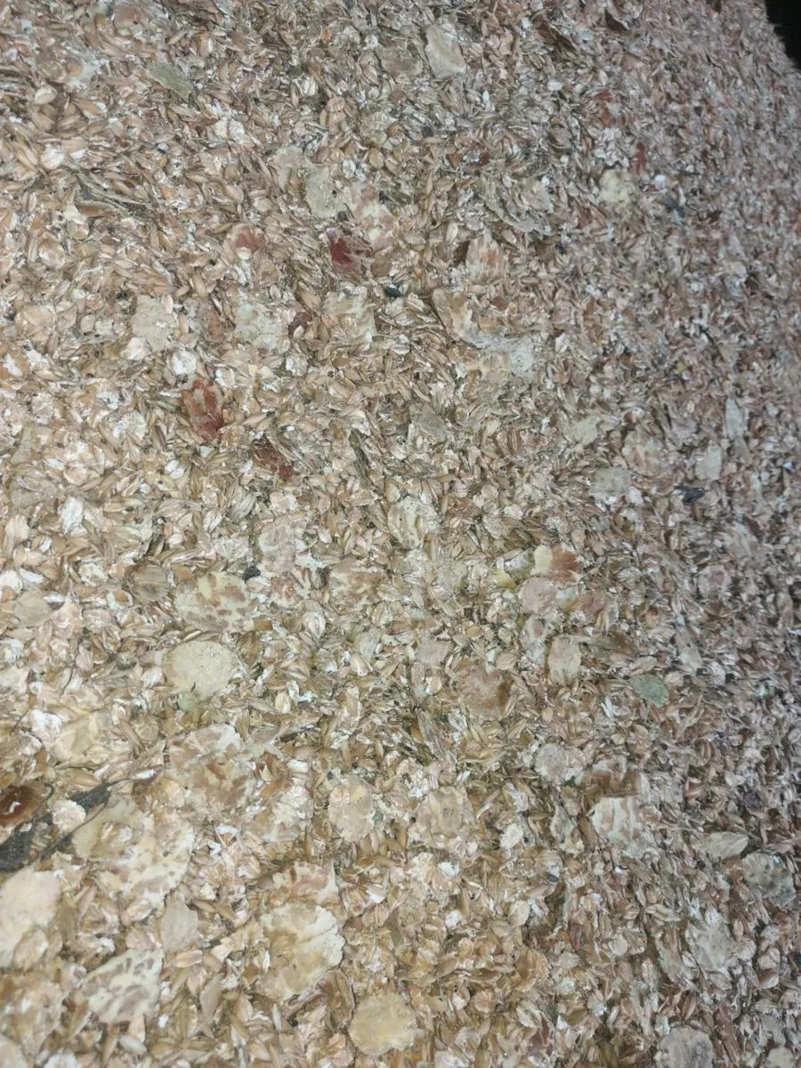 Organic meal  combi crop feed and ration - Image 4