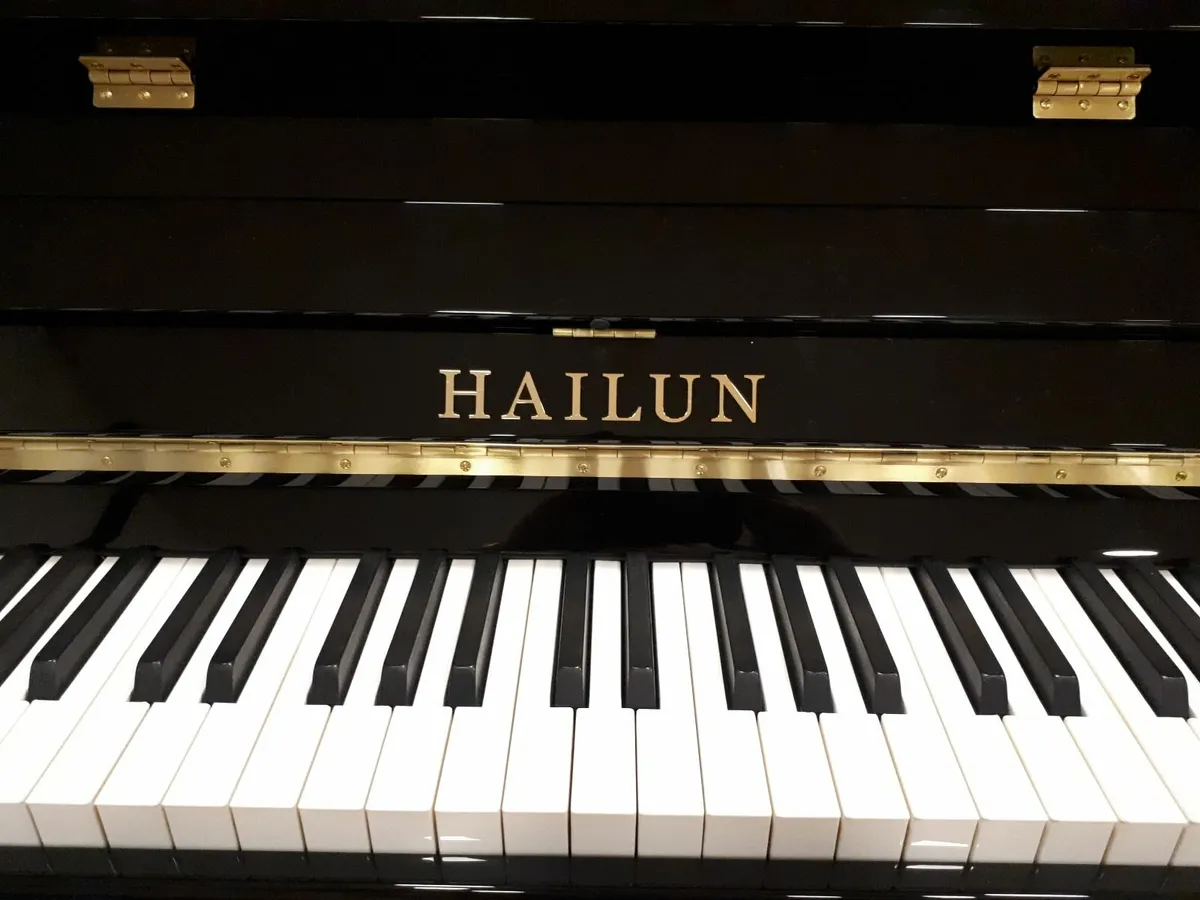 New Hailun H-5P | €216.51 Per Month with Humm - Image 2