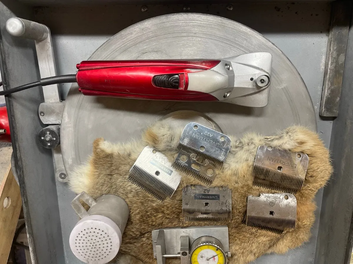 Clipper blades sharpening - Image 2