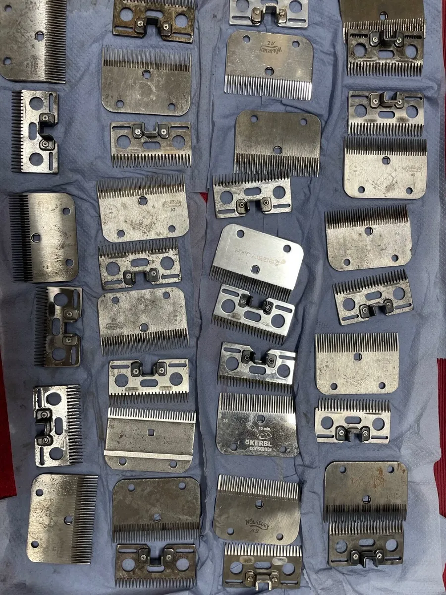 Clipper blades sharpening - Image 3