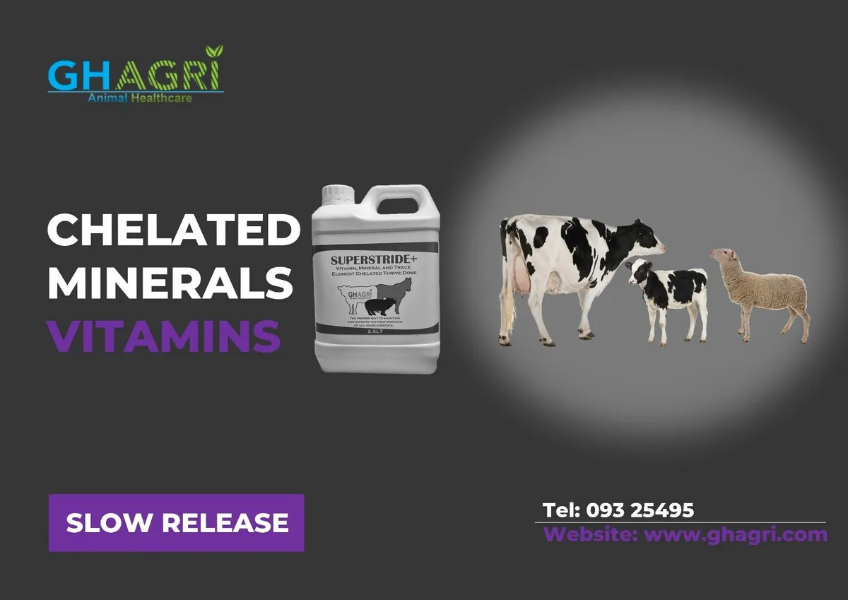 New Product !!!!!!Ultimate Nutrition Boost - Image 3