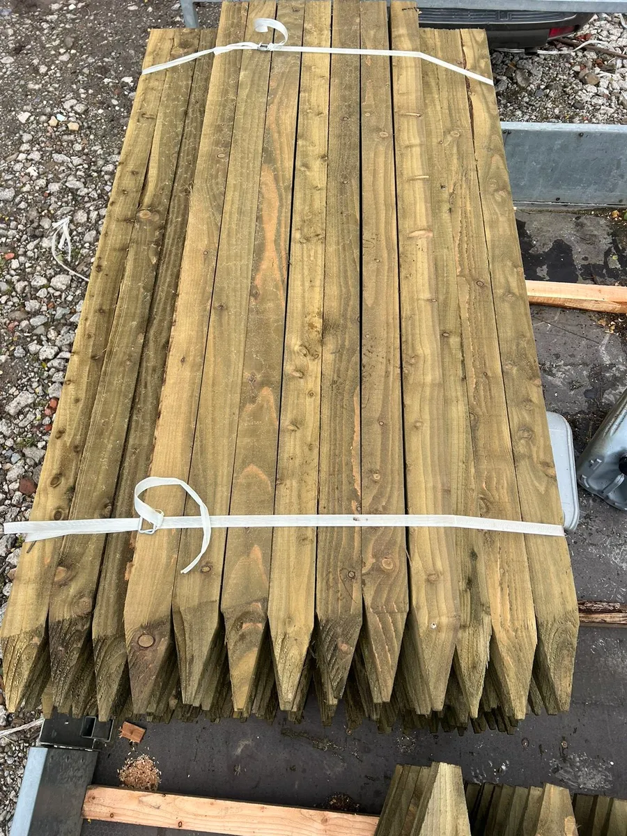 Larch stakes - Image 4