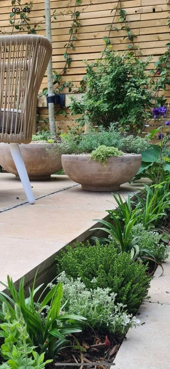 Monaco Cream Paving Flagstones €25 each ex vat - Image 1