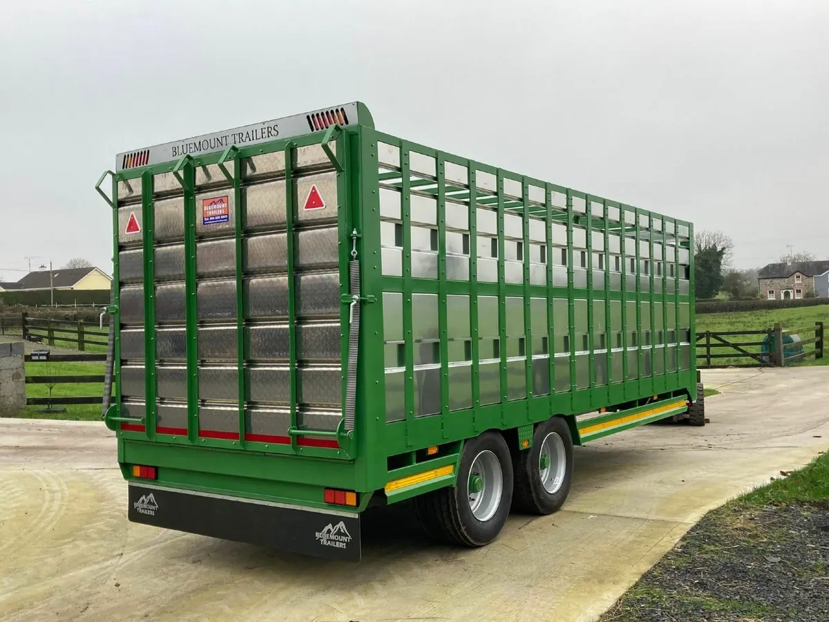 Bluemount Trailer - Image 4