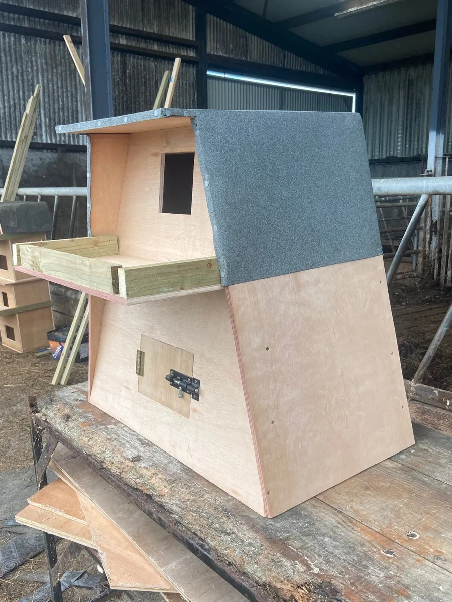 Barn Owl Boxes - Image 3