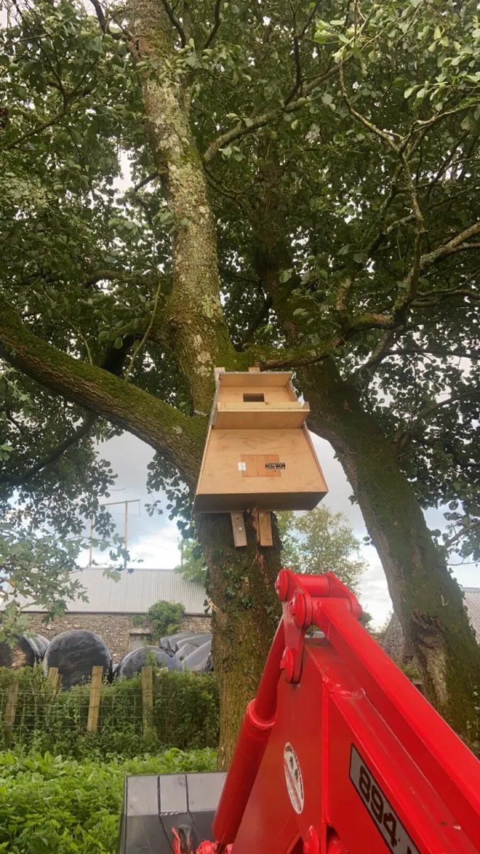 Barn Owl Boxes - Image 4