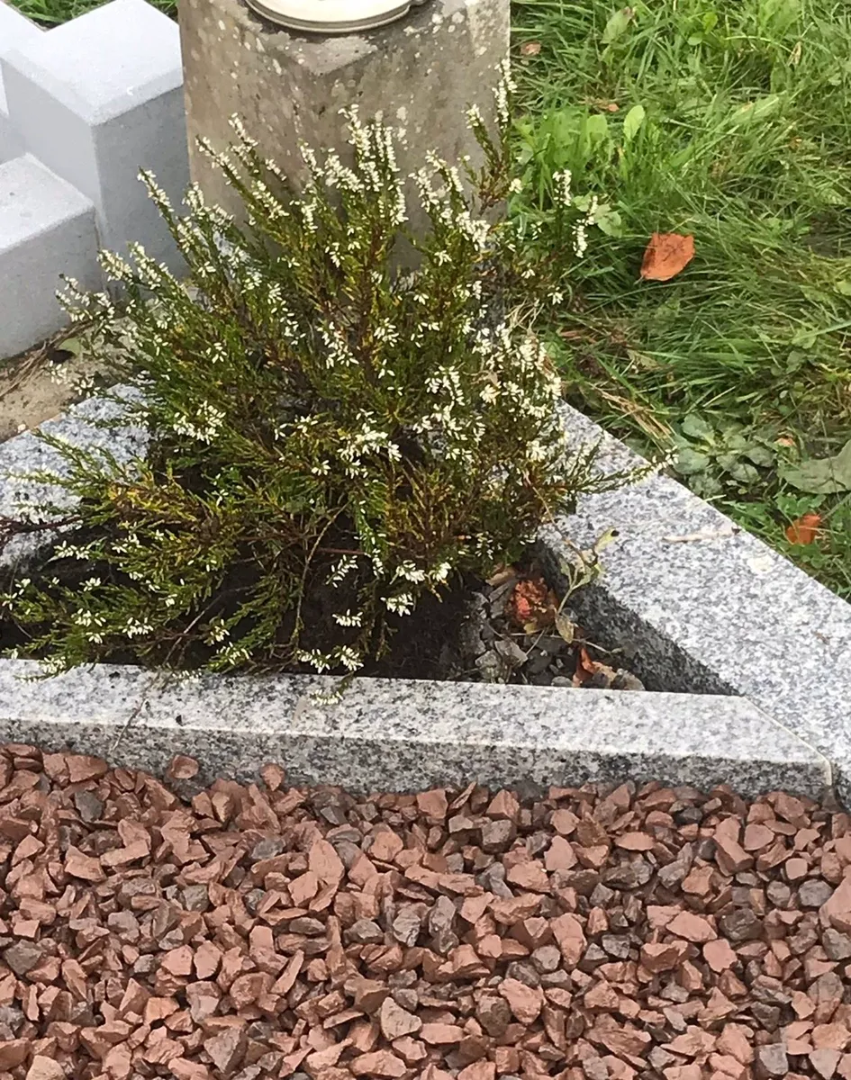 Sand and Gravel/ Sandbags / pebble/ bark - Image 2