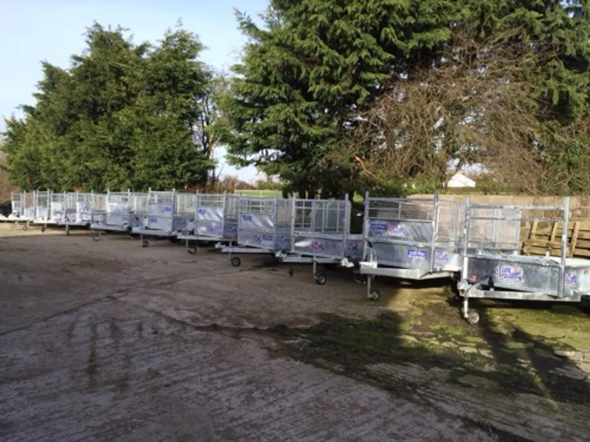 Car trailers Tuffmac Ifor Williams Hudson - Image 2