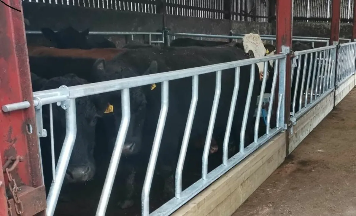 Cattle feed barriers, dividing gates and drinkers - Image 2
