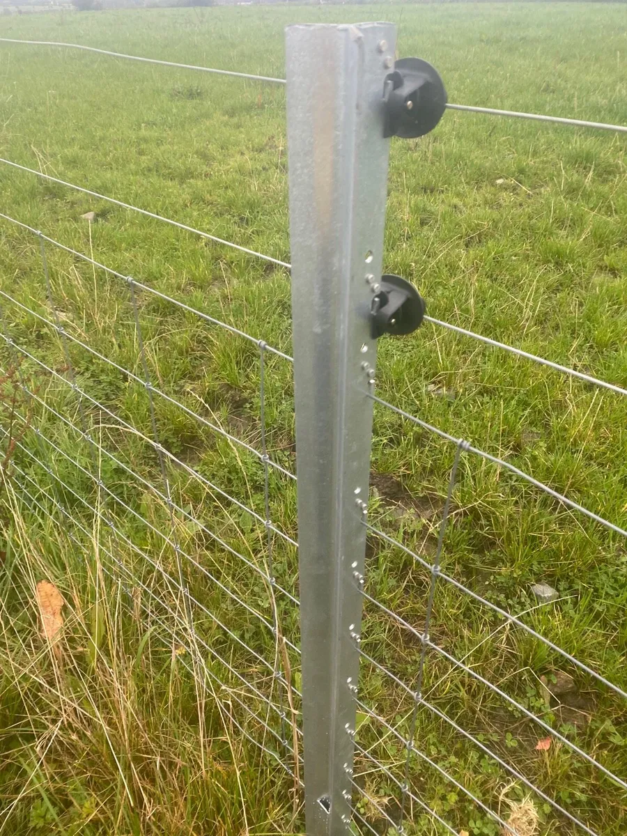 Clipex Fencing - Image 3