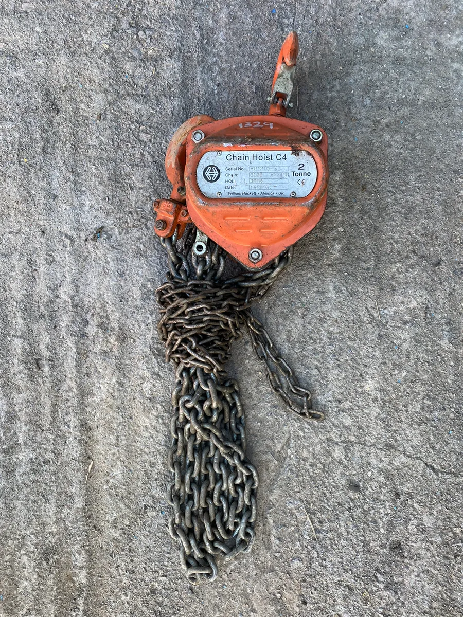 2TN Chain Hoist - Image 1