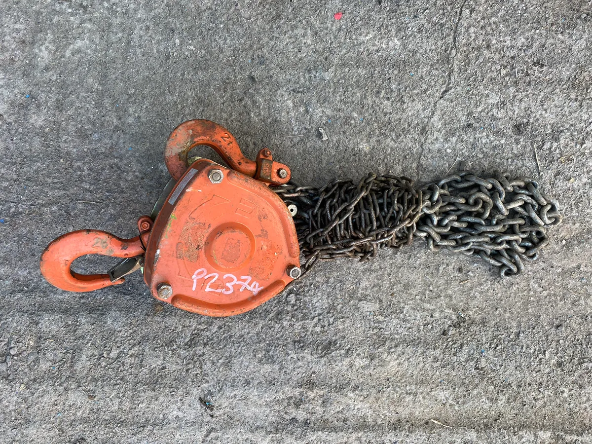 2TN Chain Hoist - Image 3