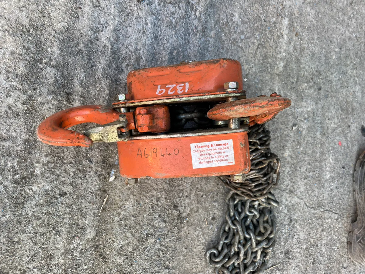 2TN Chain Hoist - Image 4