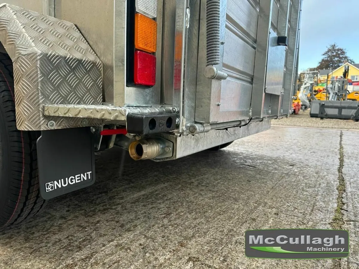 New Nugent 12ft x 6in Tri-Axle Cattle Trailer - Image 4