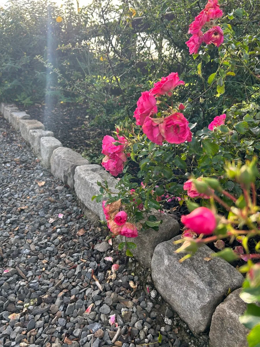 Tidy Towns Old York 6” Brown Stone Kerbs - Image 3