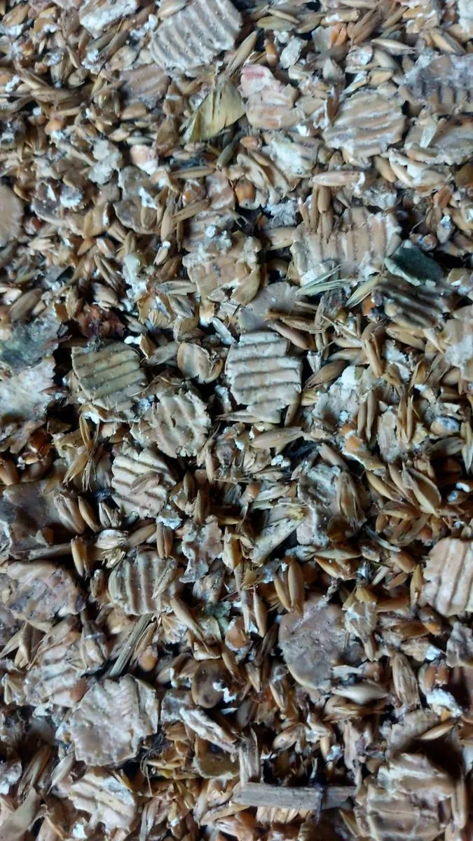 Organic meal  feed and ration - Image 3