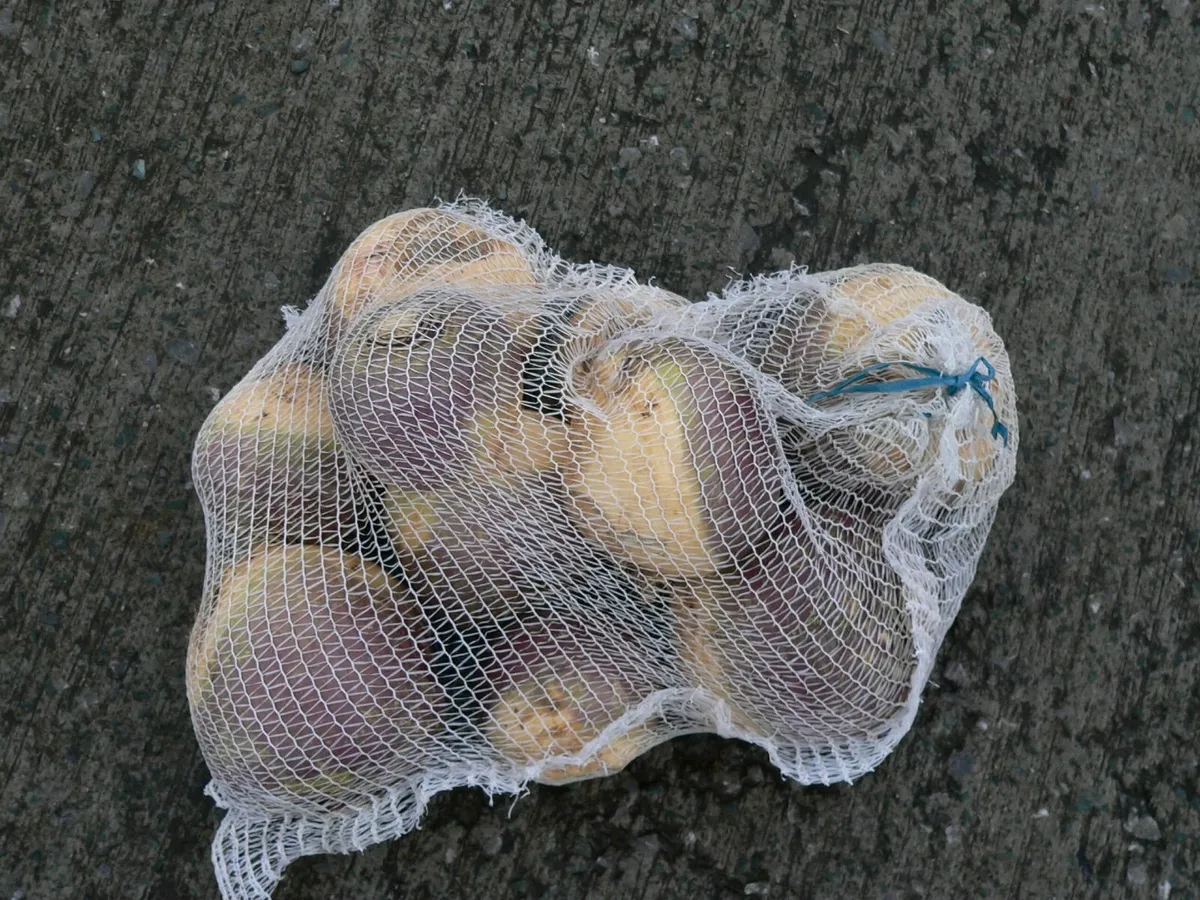 Net bags for Carrots and Vegetables - Image 3