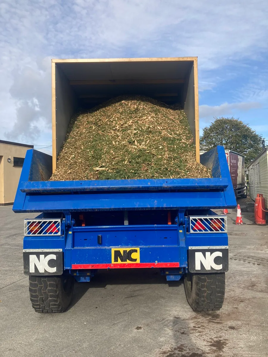 Wood chips, hard wood - Image 4