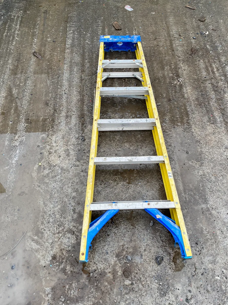 Selection of Ladders - Image 2
