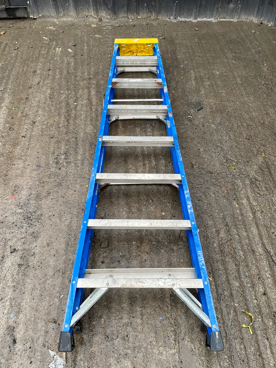 Ladder - Image 1