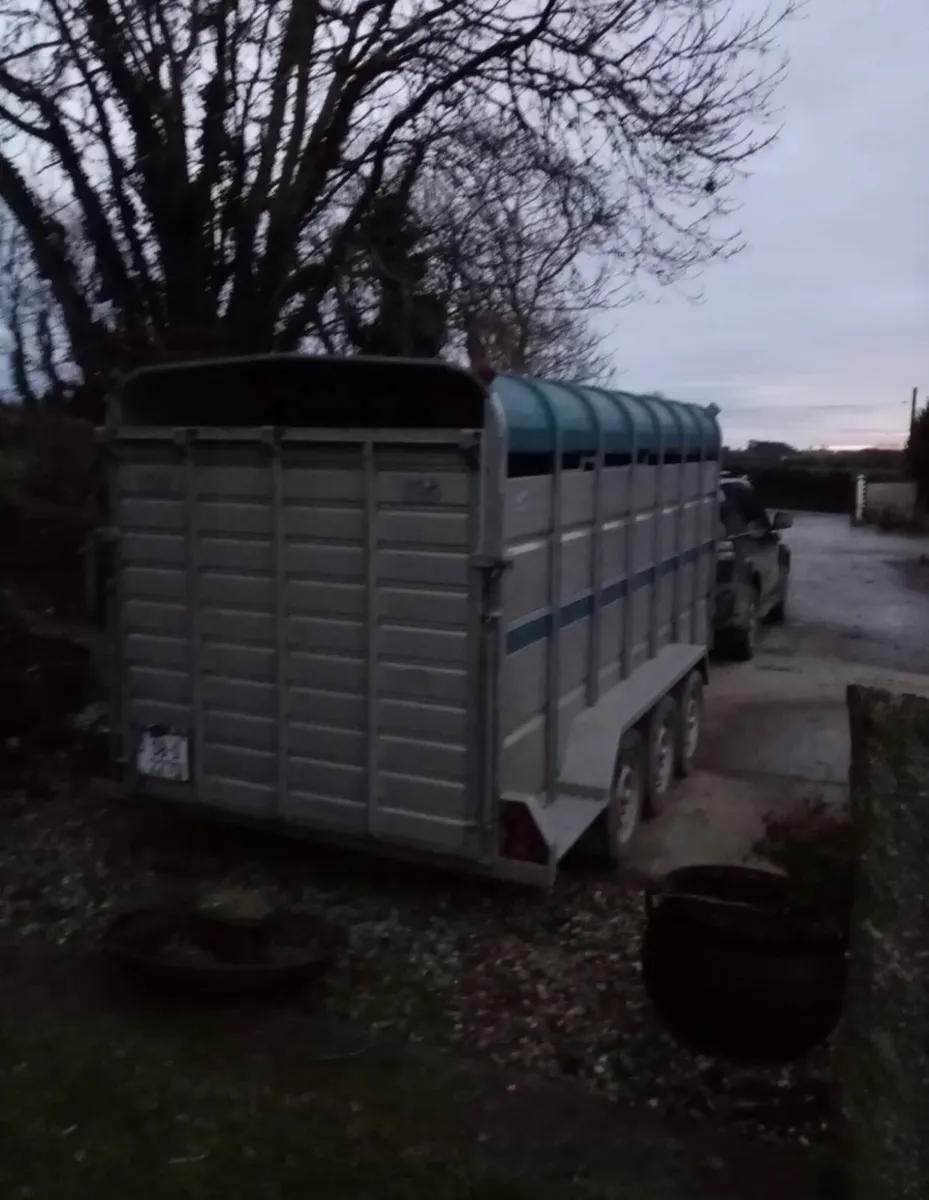 Calf & Cattle Haulage - Wexford - Image 1