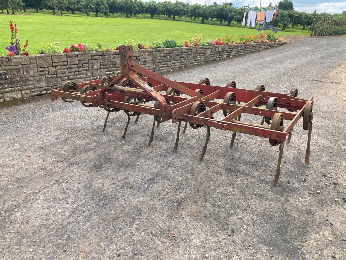 Massey Ferguson Spring tine grubber. - Image 1