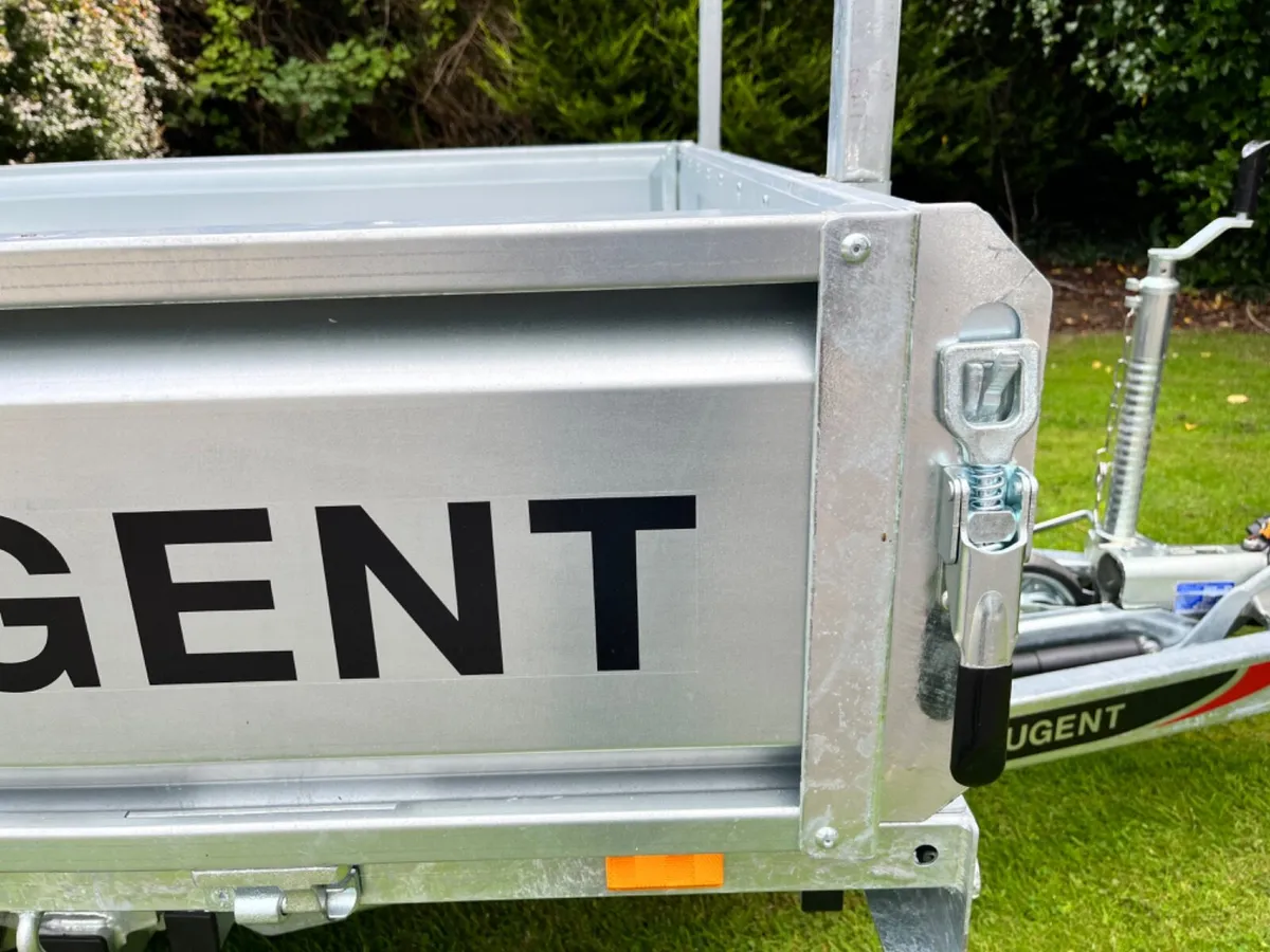 INew Nugent 10x6 Electric Tipper - Image 4