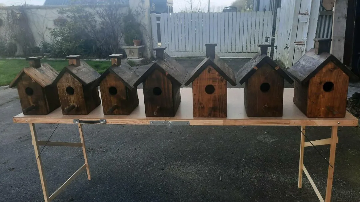 Bird House - Image 1