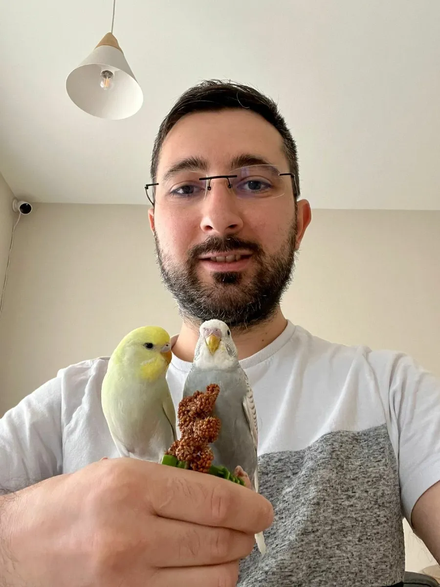 Budgies beautiful hand reared budgies also trained - Image 1