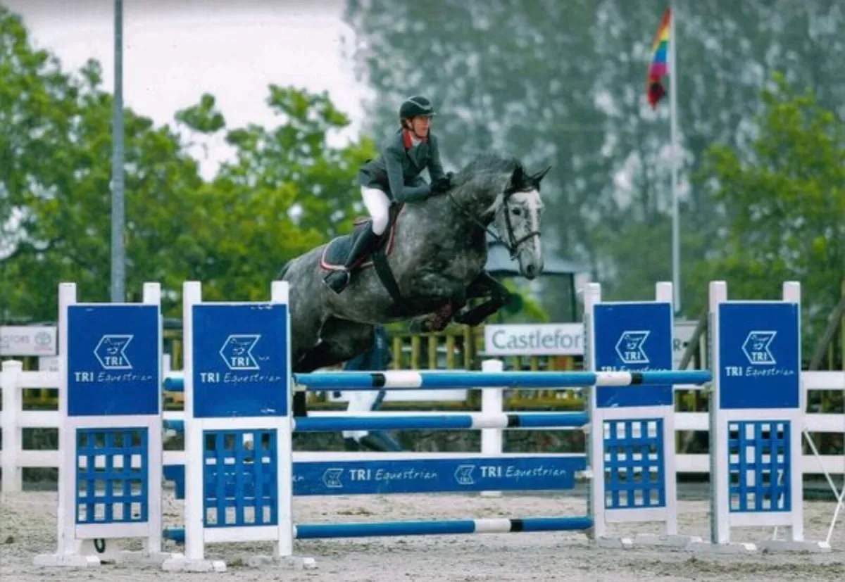 ***Full Livery Vacancy Available*** - Image 2